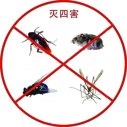 灭四害的药物有哪些